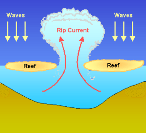 rip-current
