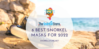 Best snorkel masks for 2022