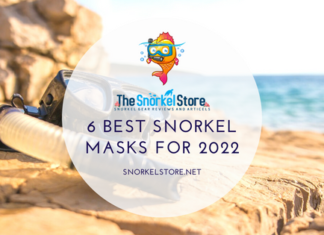 Best snorkel masks for 2022