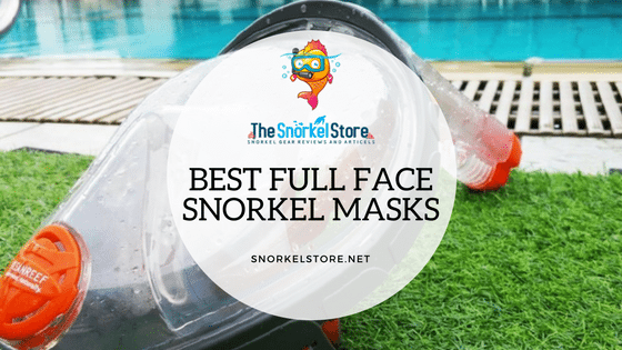 ocean reef aria full face mask laying in grass near a pool
