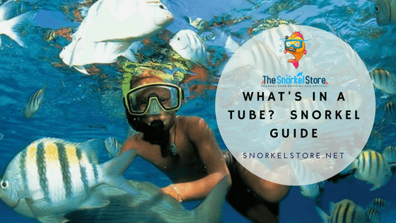 kid snorkeling with fish and wearing snorkel gear