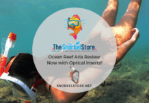 Ocean Reef Full Face snorkel mask review