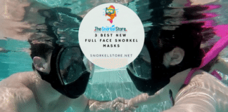 A couple snorkeling with full face snorkel masks on (blog title graphic)